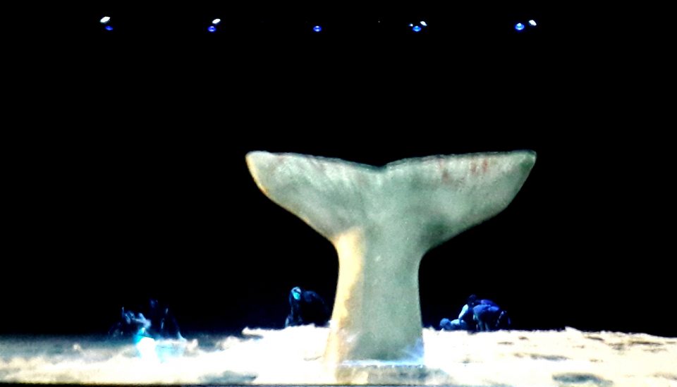 Moby Dick | Pallas Theatre